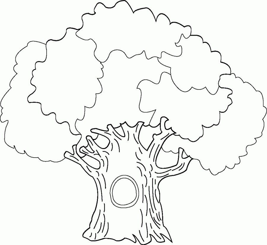 tree-coloring-page-0035-q1