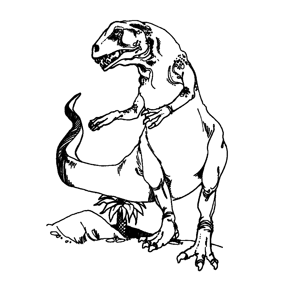 t-rex-coloring-page-0007-q4