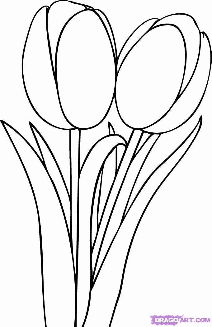 tulip-coloring-page-0010-q1