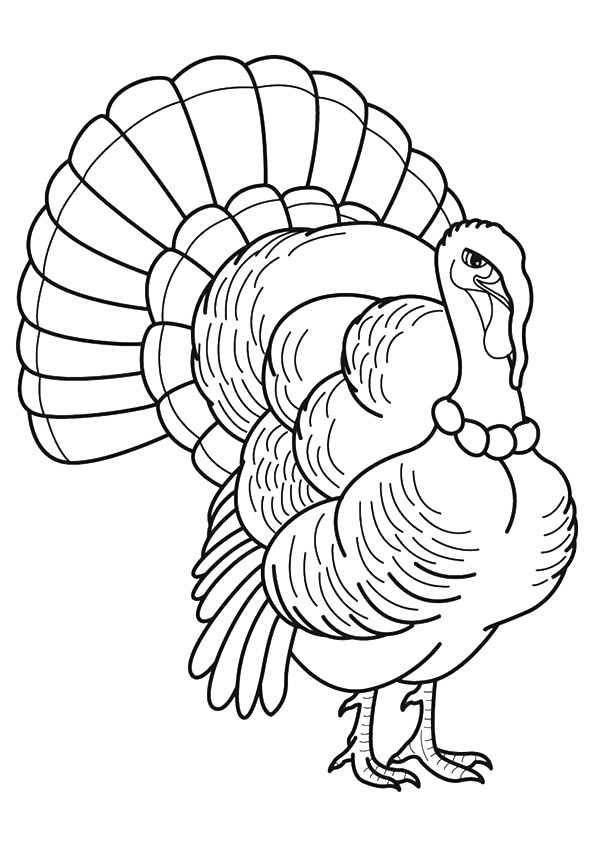 turkey-coloring-page-0008-q2