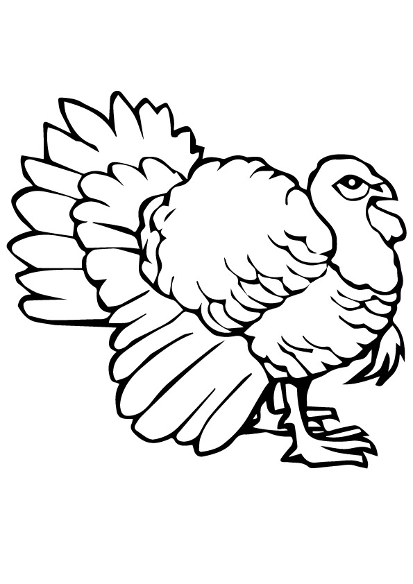 turkey-coloring-page-0037-q2