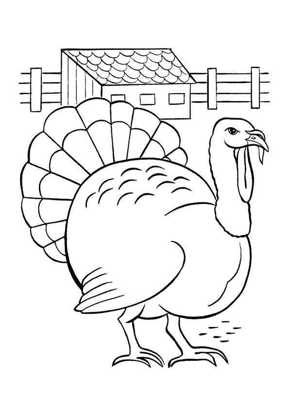 turkey-coloring-page-0041-q2