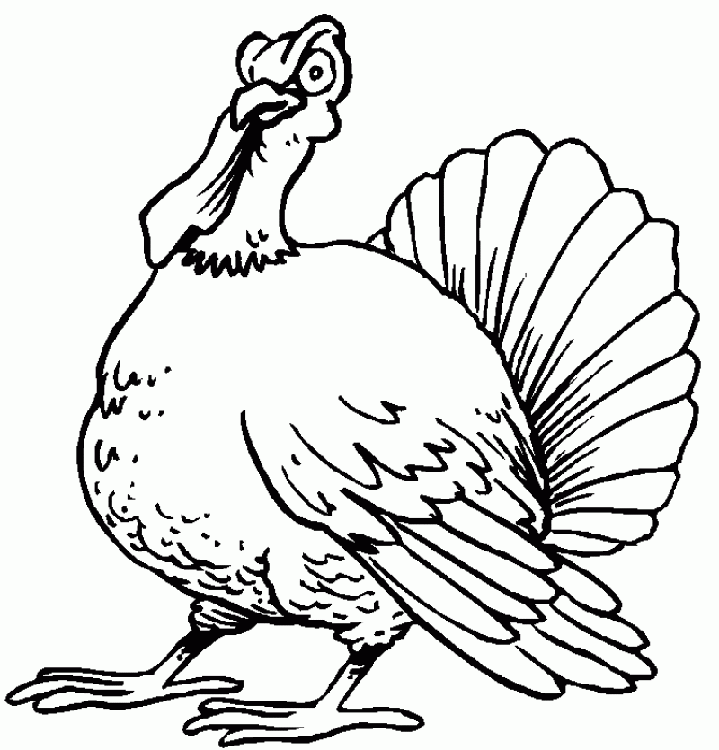 turkey-coloring-page-0049-q1