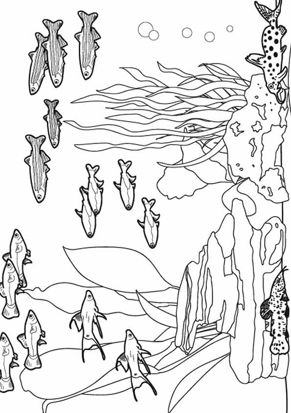 under-the-sea-and-underwater-coloring-page-0017-q2