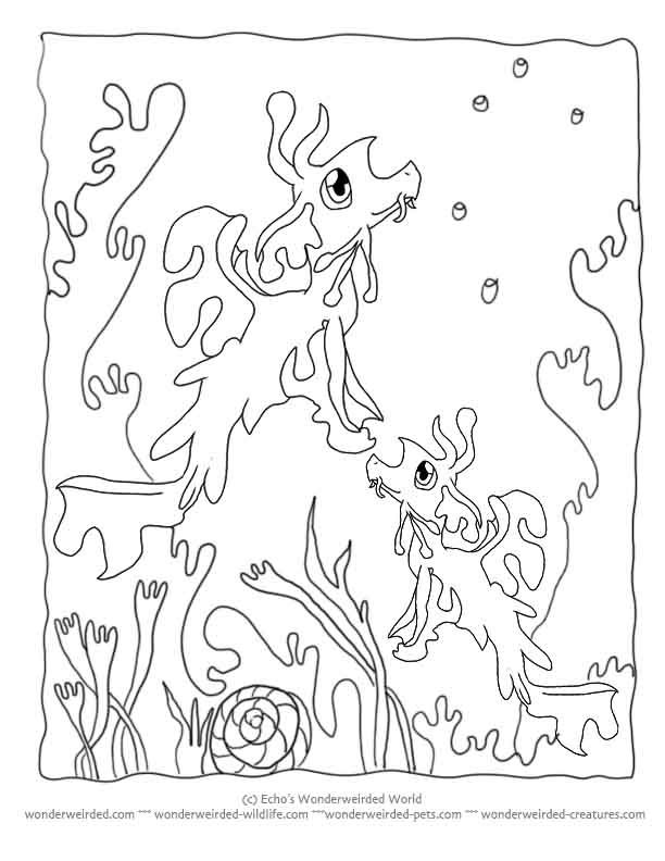 under-the-sea-and-underwater-coloring-page-0022-q1