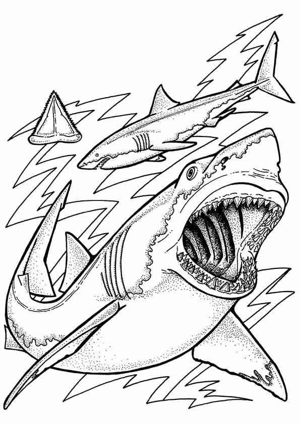 under-the-sea-and-underwater-coloring-page-0029-q2