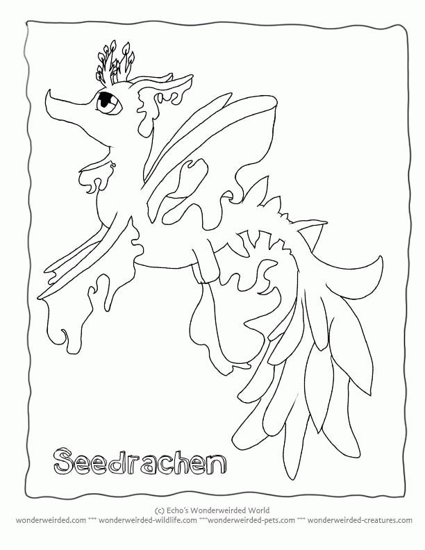 under-the-sea-and-underwater-coloring-page-0033-q1