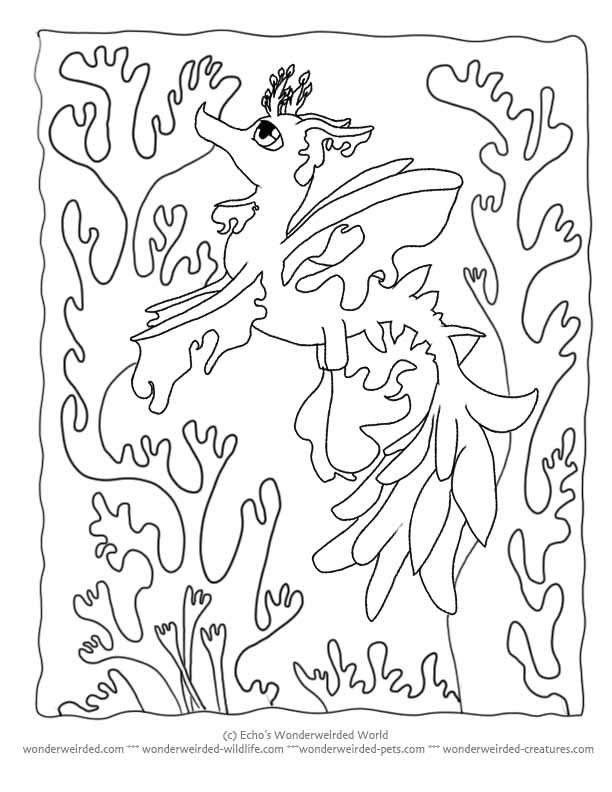 under-the-sea-and-underwater-coloring-page-0038-q1