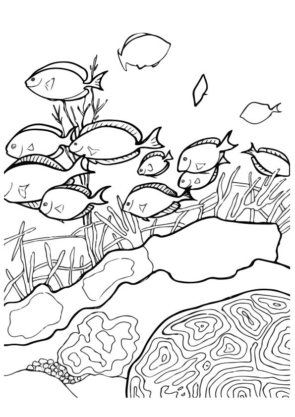 under-the-sea-and-underwater-coloring-page-0042-q2