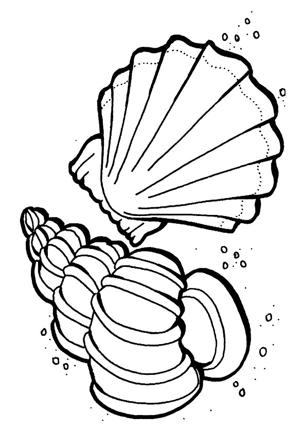 under-the-sea-and-underwater-coloring-page-0048-q2