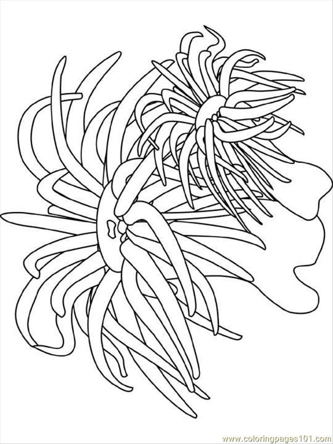 under-the-sea-and-underwater-coloring-page-0050-q1
