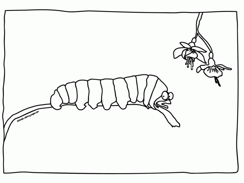 the-very-hungry-caterpillar-coloring-page-0008-q1