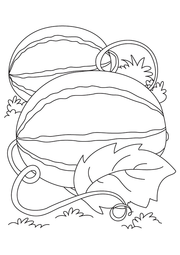 watermelon-coloring-page-0002-q2