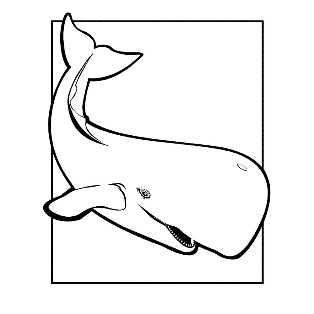 whale-coloring-page-0014-q4