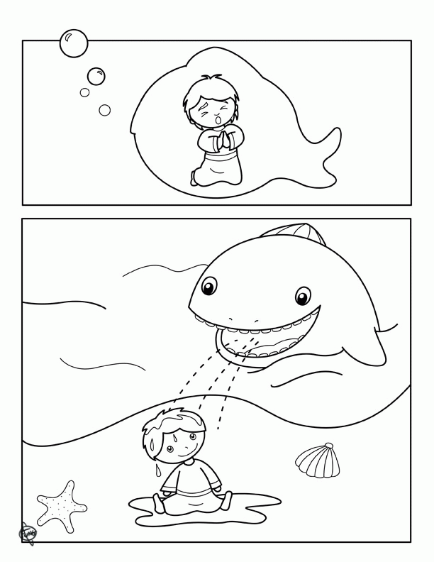 whale-coloring-page-0039-q1