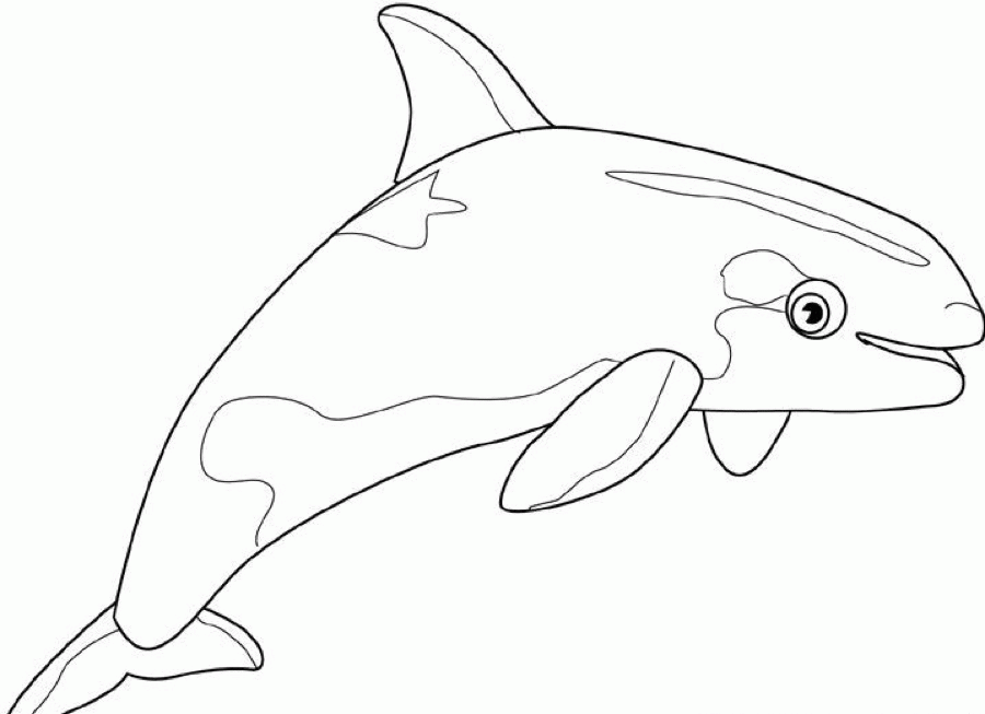 whale-coloring-page-0046-q1