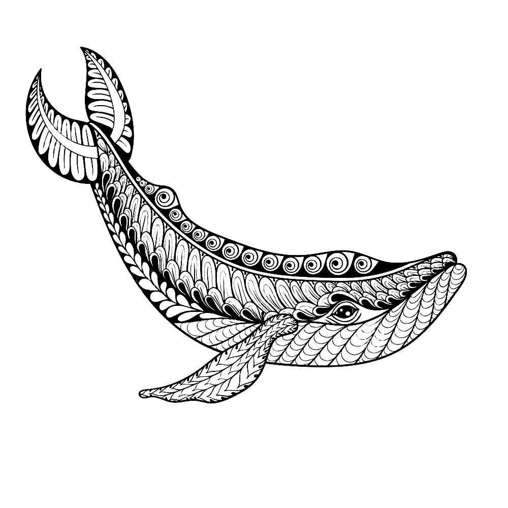 whale-coloring-page-0050-q4