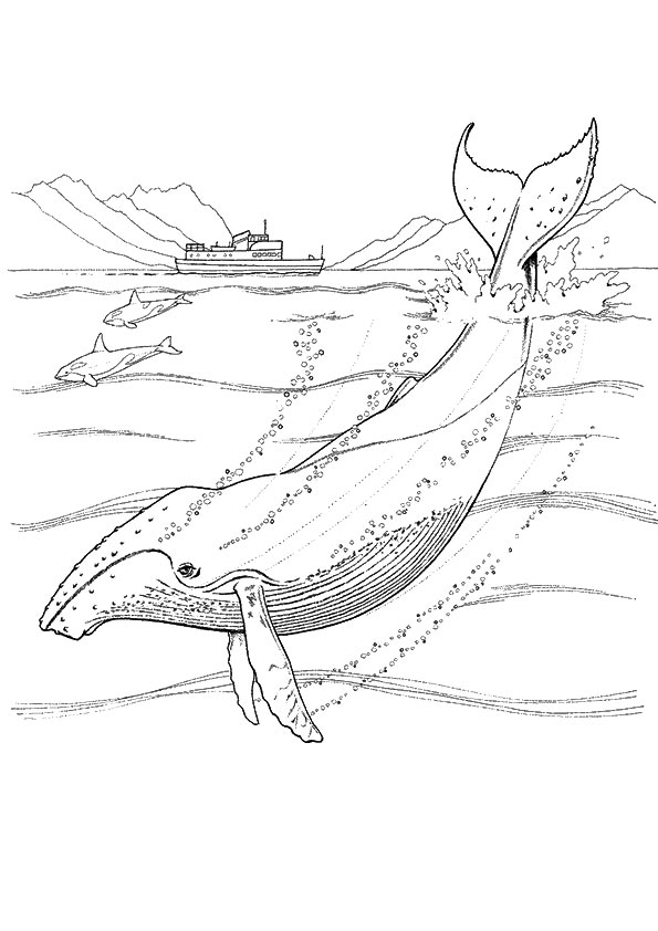 whale-coloring-page-0066-q2