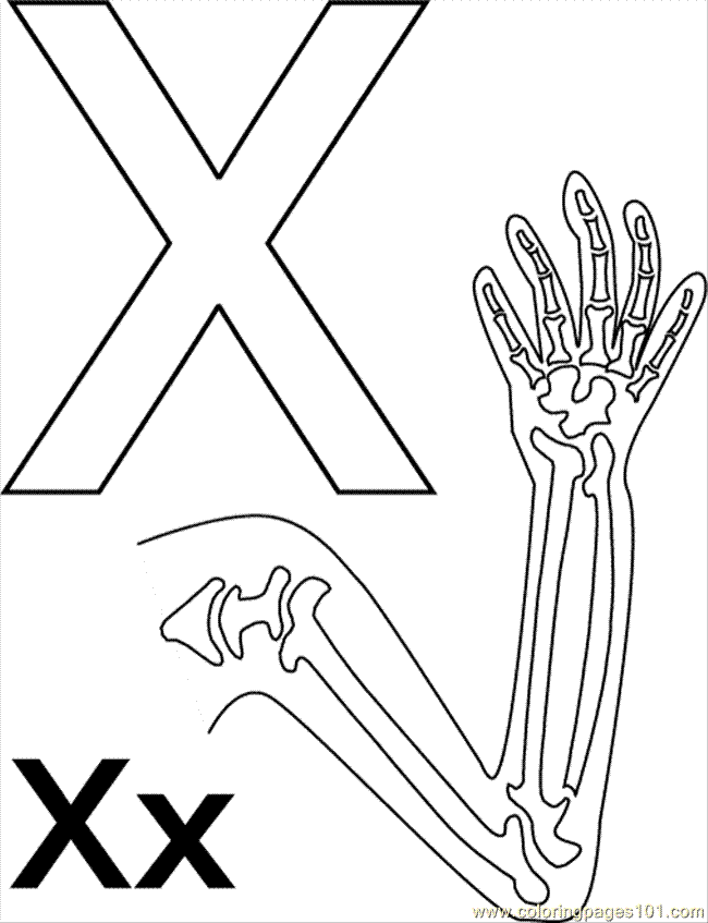 x-ray-coloring-page-0007-q1