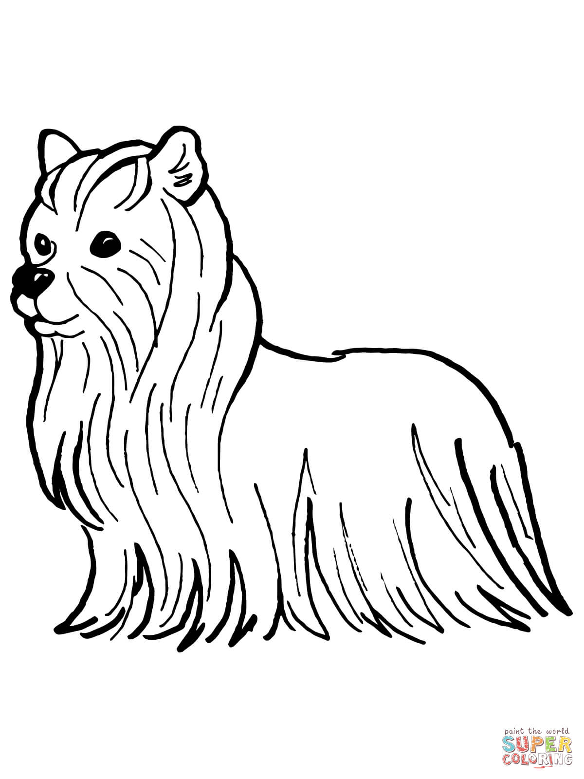 yorkie-coloring-page-0003-q1