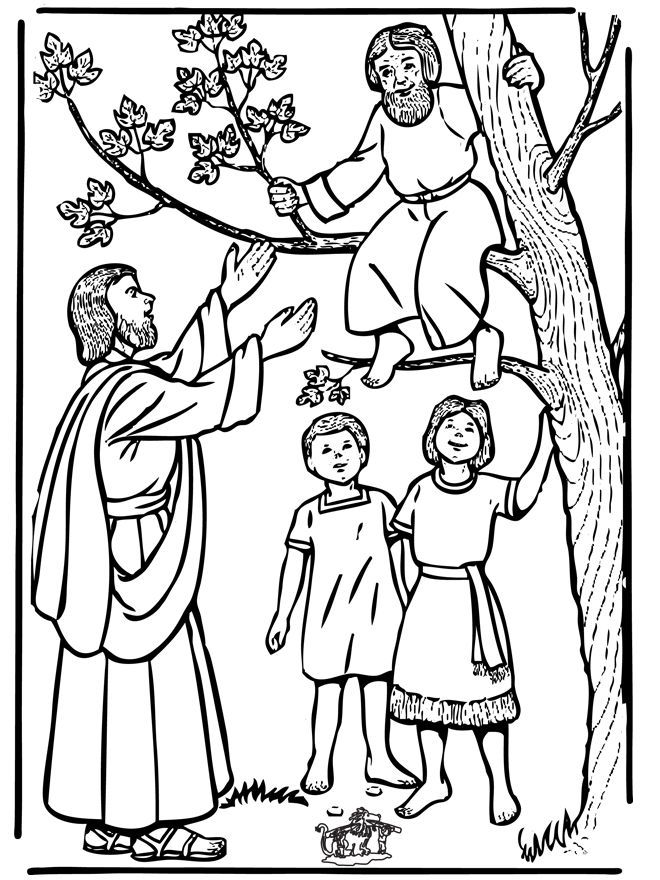 Zacchaeus: Coloring Pages & Books - 100% FREE and printable!