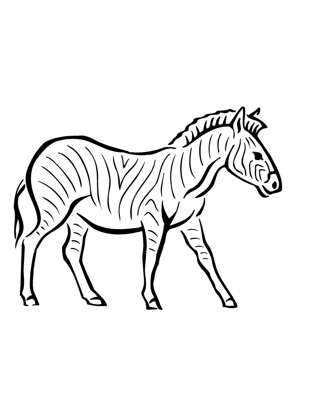 zebra-coloring-page-0003-q1