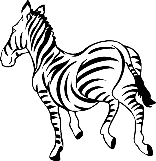 zebra-coloring-page-0014-q3