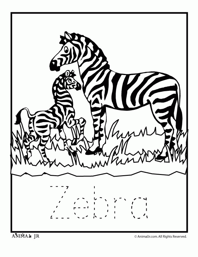 zebra-coloring-page-0041-q1