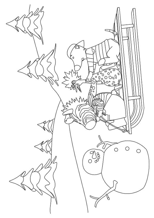 zebra-coloring-page-0046-q2