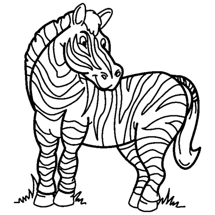 zebra-coloring-page-0065-q1