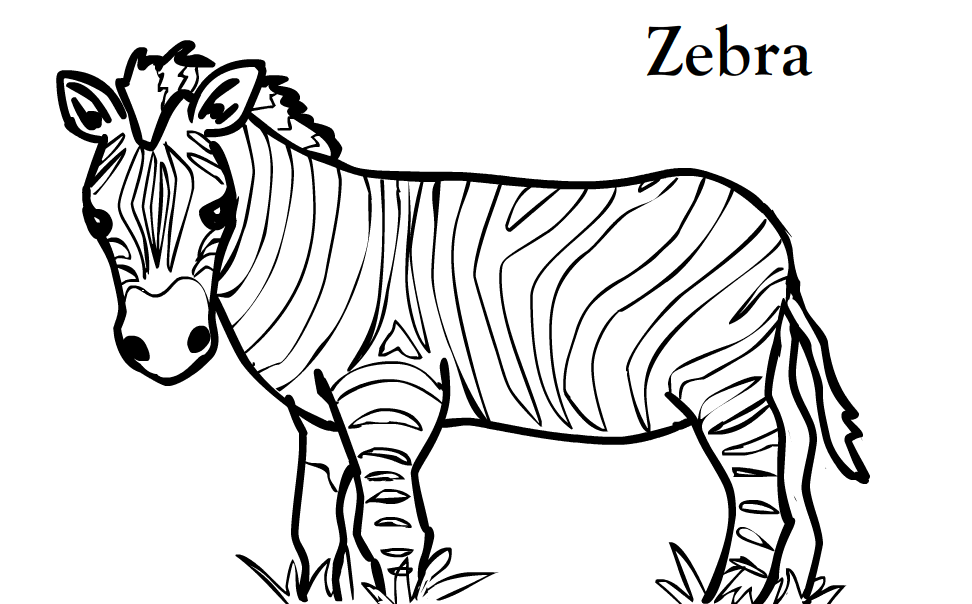 zebra-coloring-page-0068-q1