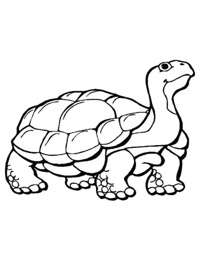 animal-coloring-page-0062-q1