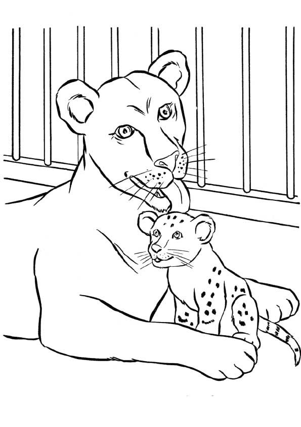animal-coloring-page-0136-q2