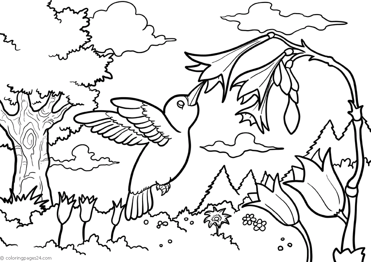 animal-coloring-page-0152-q3