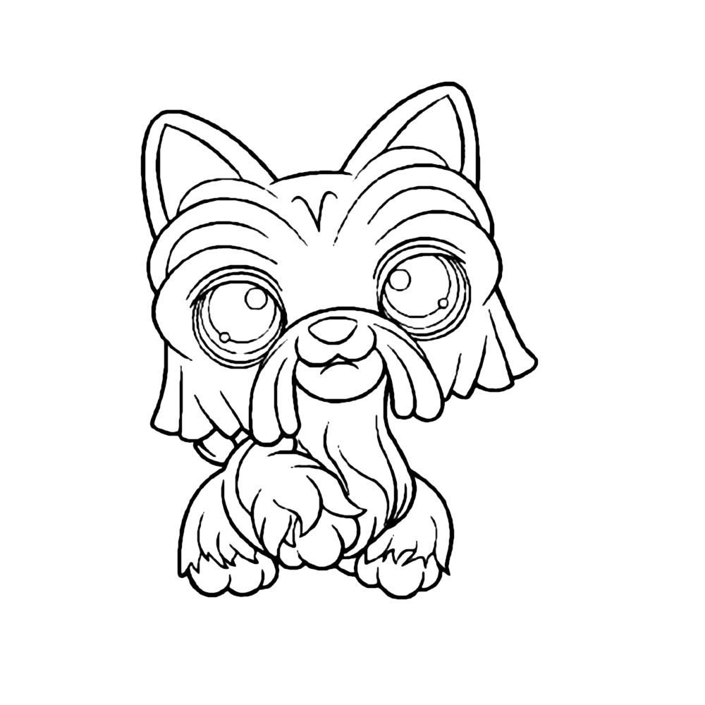 animal-coloring-page-0172-q4