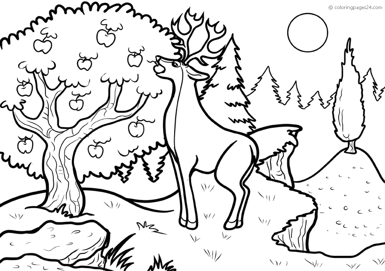 animal-coloring-page-0206-q3