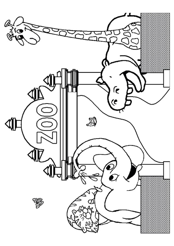 animal-coloring-page-0258-q2