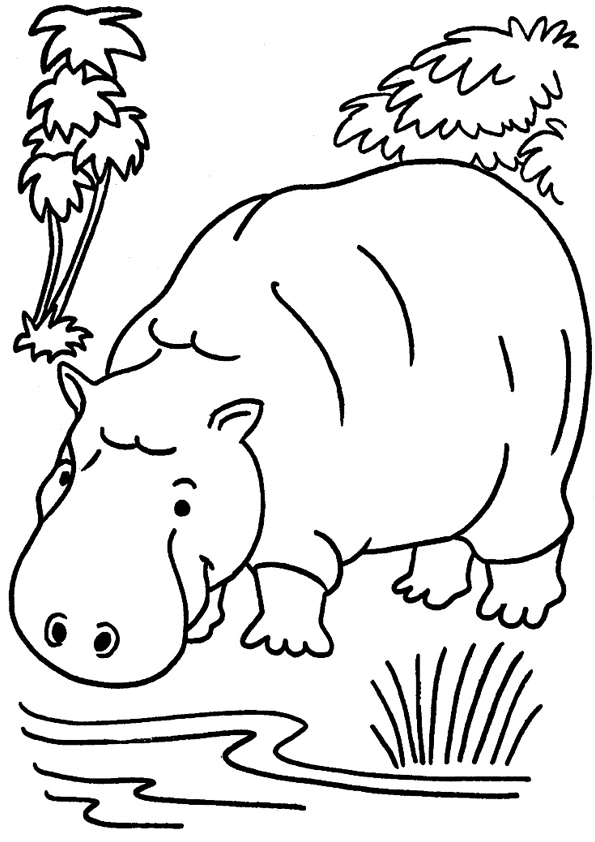 animal-coloring-page-0266-q2