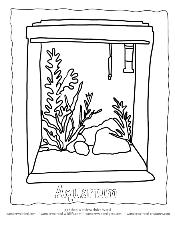 aquarium-coloring-page-0003-q1