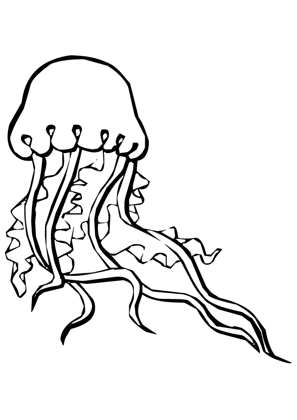 aquarium-coloring-page-0047-q2