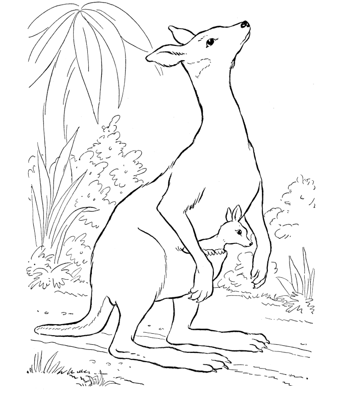 baby-coloring-page-0019-q1