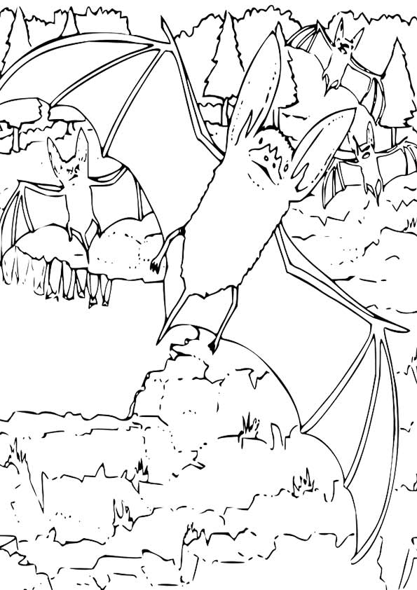 bat-coloring-page-0012-q2