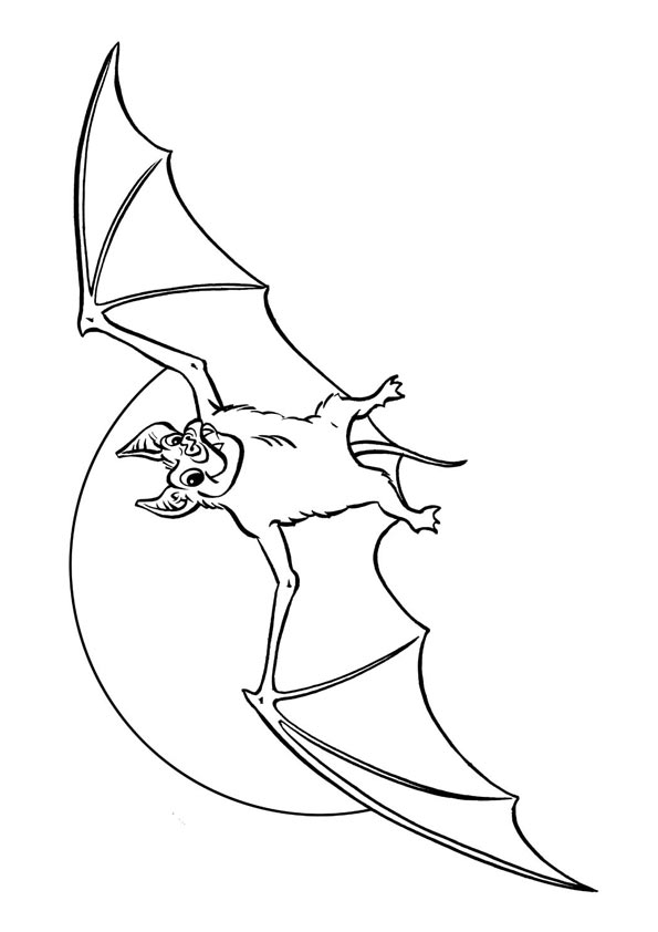 bat-coloring-page-0036-q2