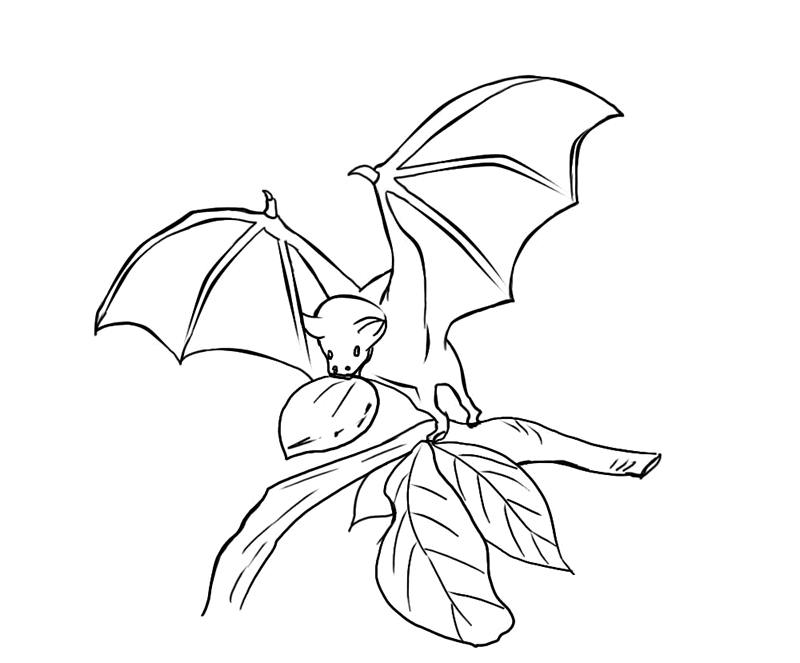 bat-coloring-page-0037-q1