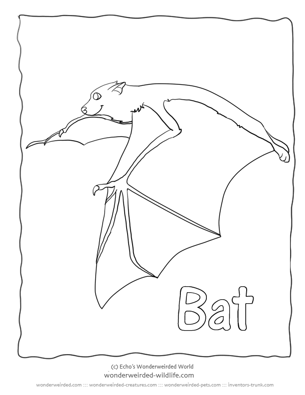 bat-coloring-page-0038-q1