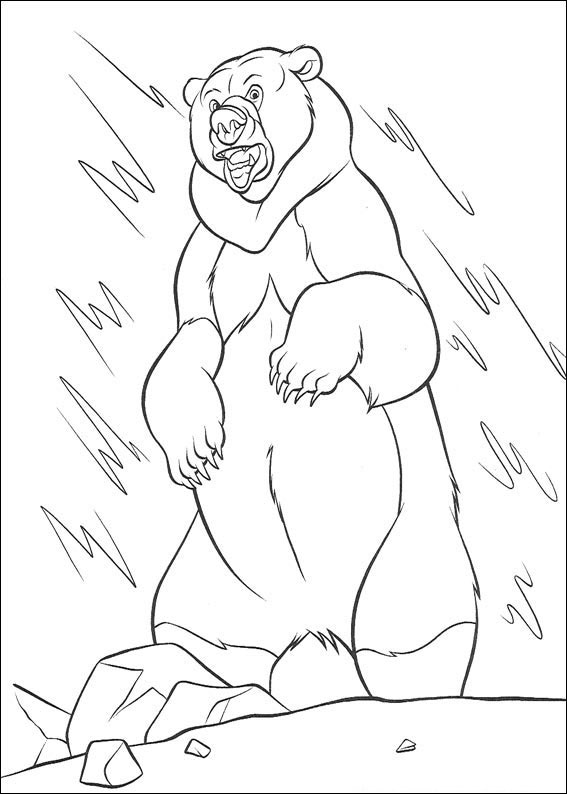 bear-coloring-page-0032-q5