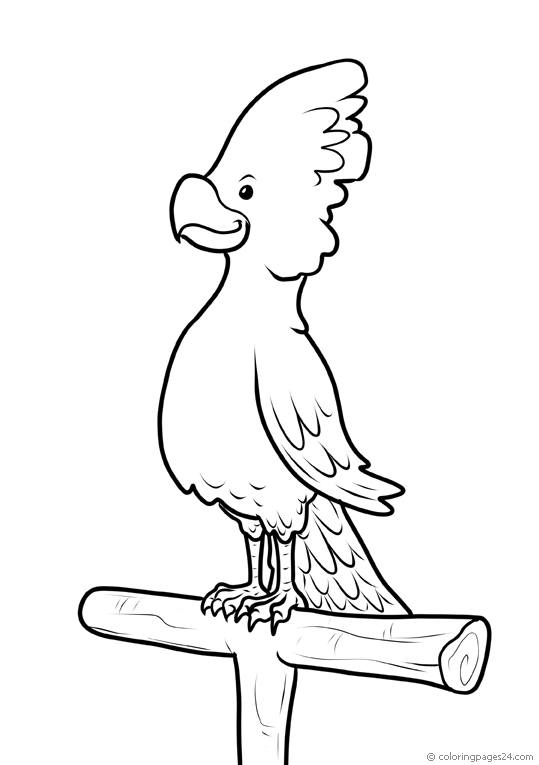 bird-coloring-page-0027-q3