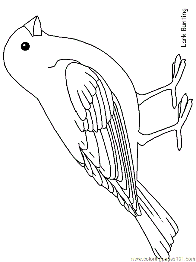 bird-coloring-page-0036-q1