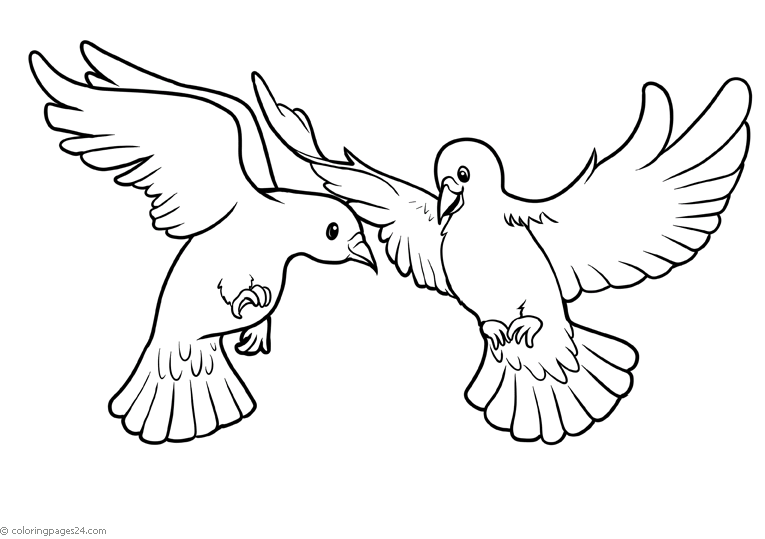 bird-coloring-page-0037-q3