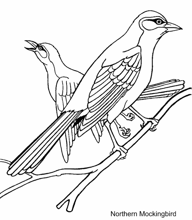 bird-coloring-page-0039-q1